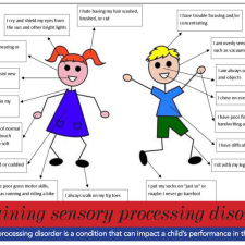 sensory processing chart