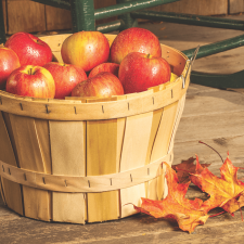 basket of apples