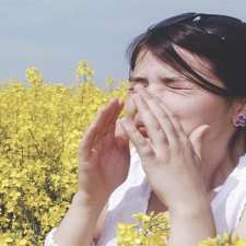 sneezing from allergens