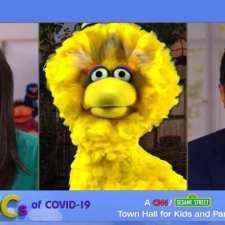 cnn with big bird