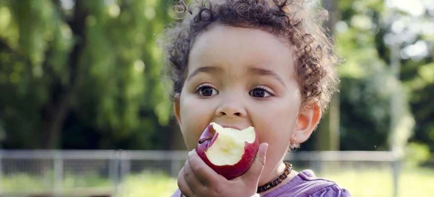 The NYC Department Of Ed Is Offering Free Meals for Families in NYC