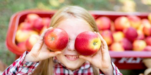 Apple picking