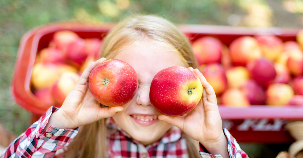 Best Apple Picking NJ 6 Farms and Orchards Near Staten Island