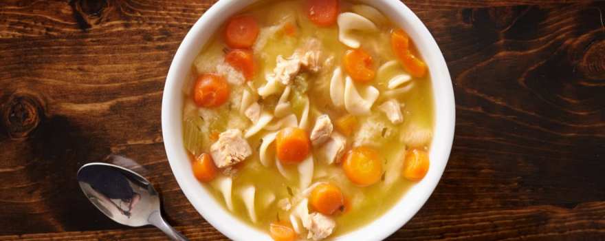 chicken noodle soup