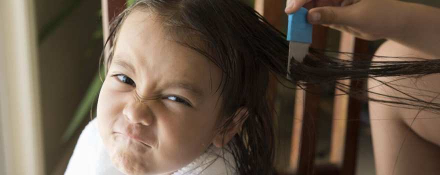 girl with head lice