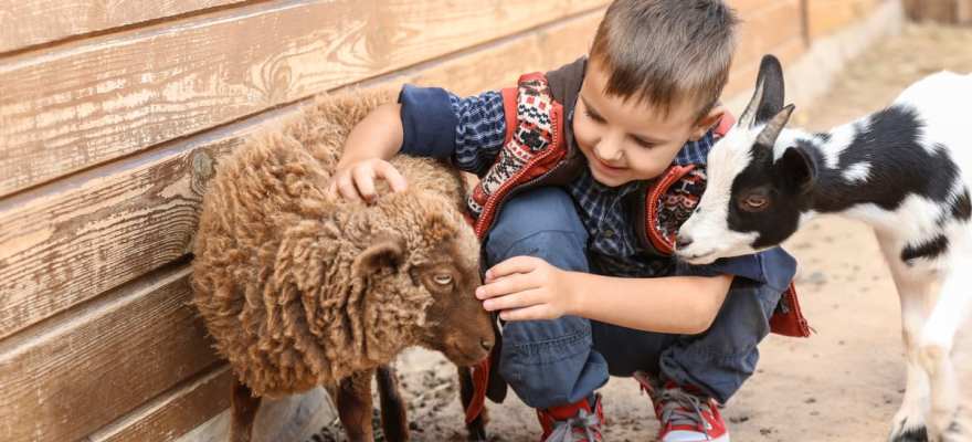 Staten Island Zoo Launches Sensory Inclusive Experience for Children with Autism