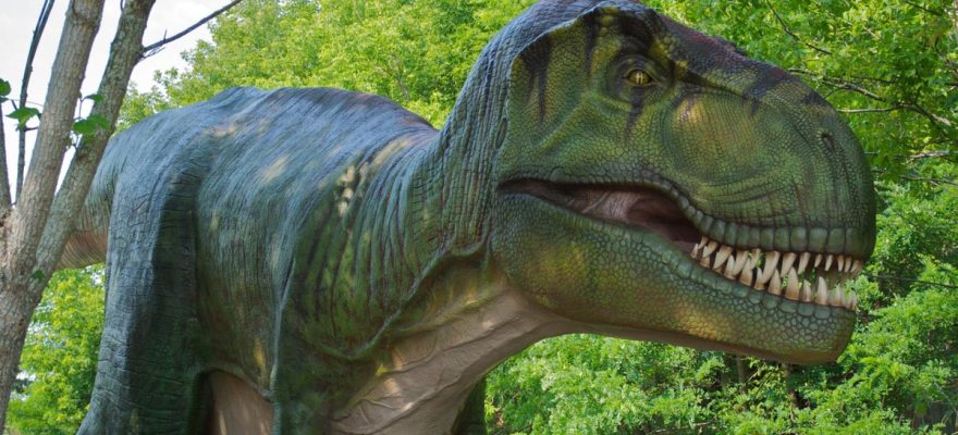 Dinosaurs Are Coming to Six Flags Great Adventure This Summer