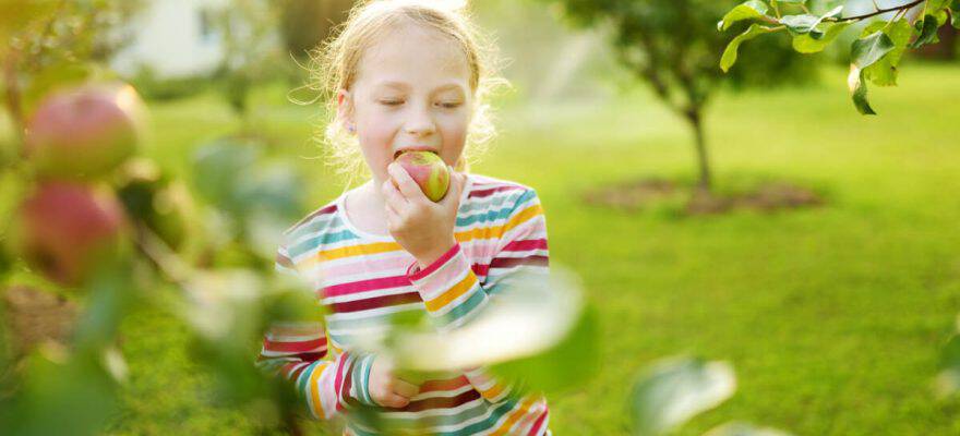 Peach Picking NJ: These are the Best Pick Your Own Orchards for Staten ...