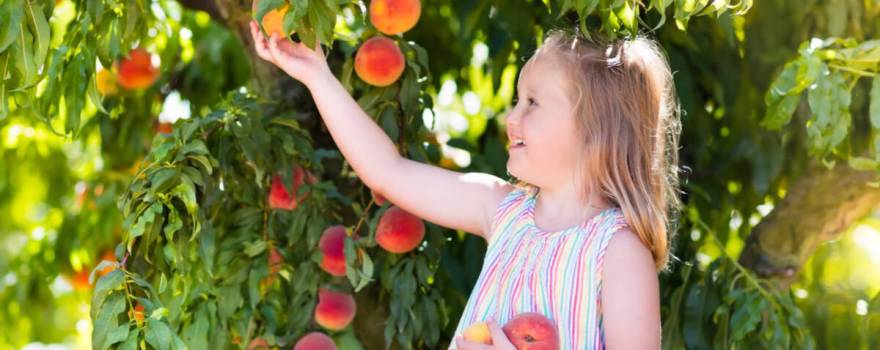 girl peach picking