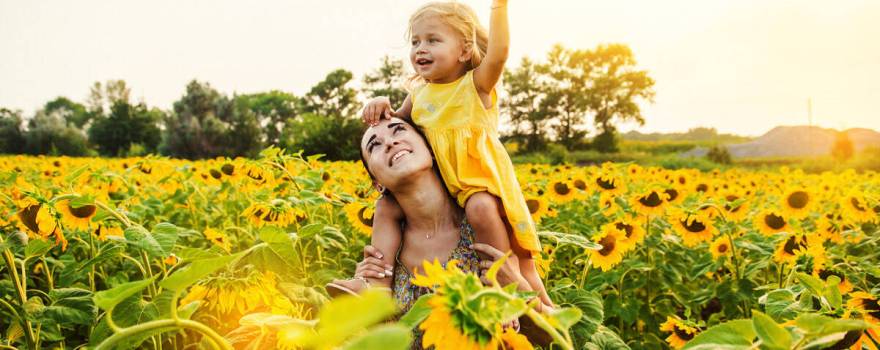 sunflower mazes in nj near staten island