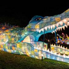 a giant lantern alligator at nyc winter lantern festival