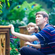 father and son looking at a tree