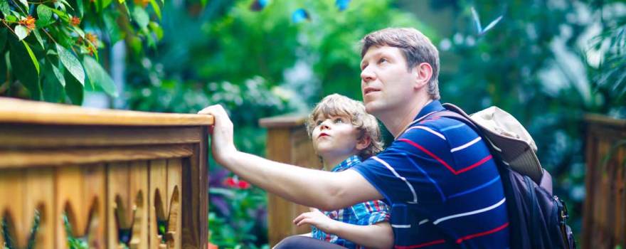 father and son looking at a tree