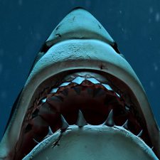 Shark looking up showing sharp teeth