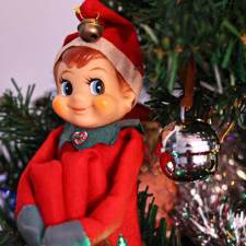 elf on the shelf sitting on tree