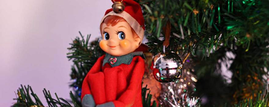 elf on the shelf sitting on tree