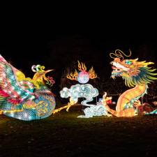 nyc lantern festival's christmas lights on staten island