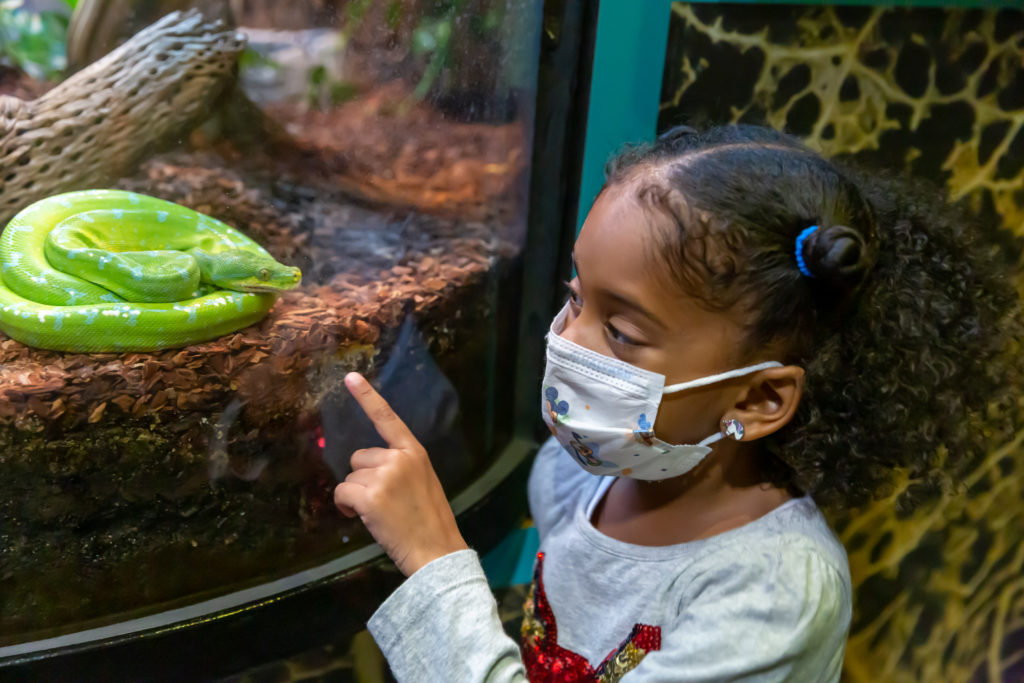 Liberty Science Center :: Wild About Animals