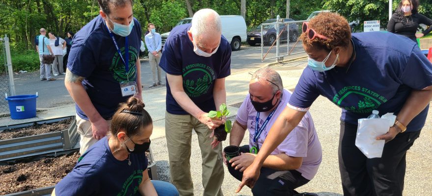 Opportunities Grow at Community Resources Staten Island’s Urban Farm