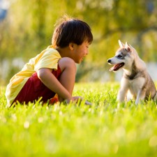 young boy with puppy in the grass