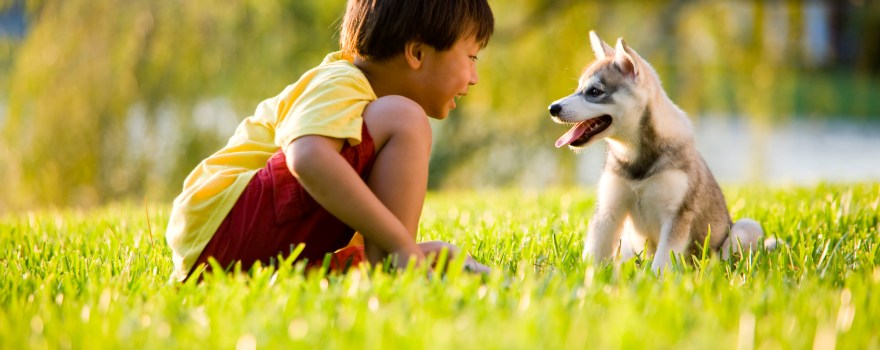 young boy with puppy in the grass