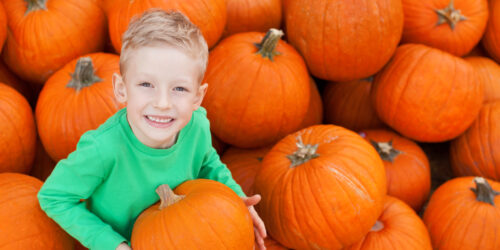 Pumpkin Picking Staten Island