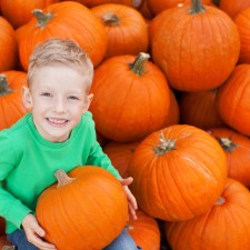 Pumpkin Picking Staten Island