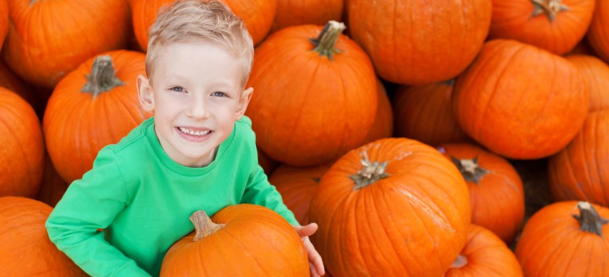 Where to Go Pumpkin Picking in Staten Island & NJ