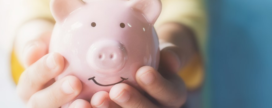 hands holding a piggy bank