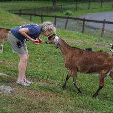 A woman outside with a goat named Hermione, one of the animals at Goat Games 2023.