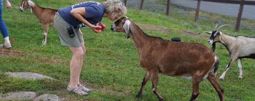 A woman outside with a goat named Hermione, one of the animals at Goat Games 2023.