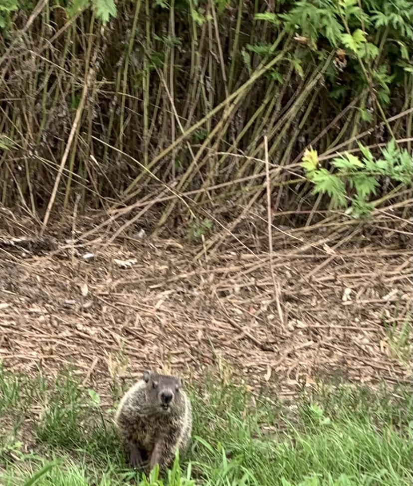 Enjoy an Afternoon at Great Kills Park | SI Parent