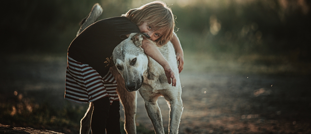 National Dog Day Events and Ways Your Family Can Help