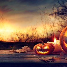 jack-o-lanterns in a forest, similar to Halloween decorations at Six Flags Fright Fest