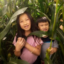 Corn Mazes Staten Island