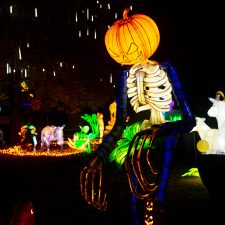 Glowing Halloween display at a Dino Safari event