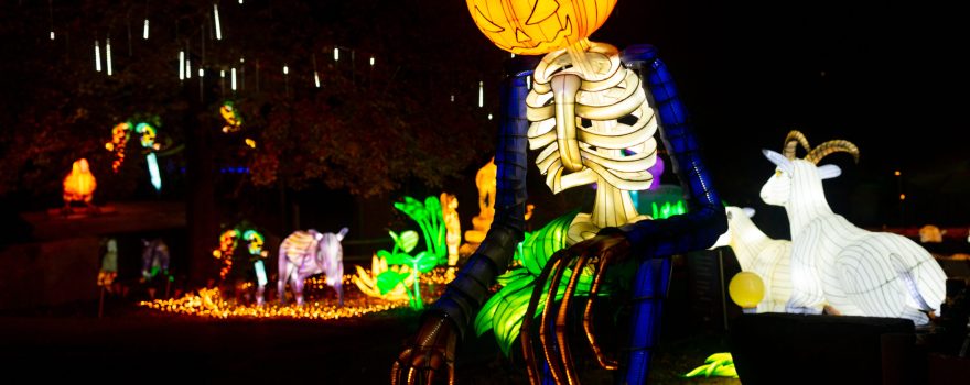 Glowing Halloween display at a Dino Safari event