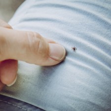 Tick Prevention